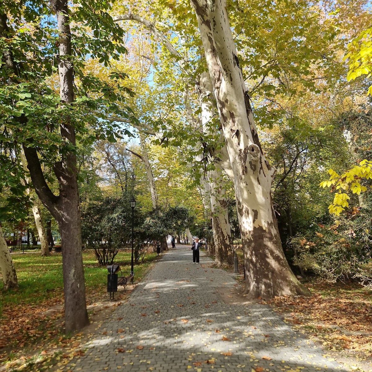 Parcul central Buziaș - foto 4