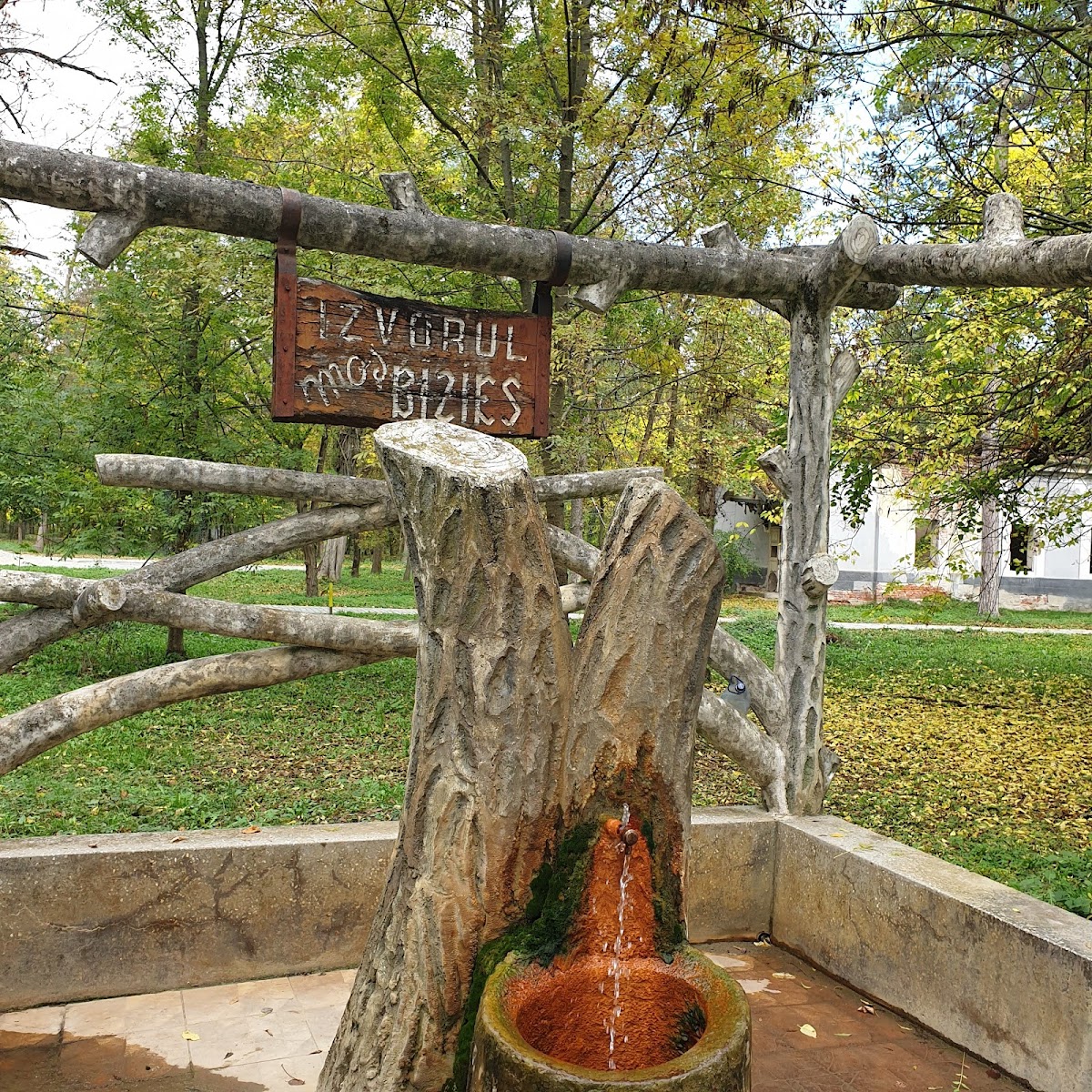Parcul central Buziaș - foto 5