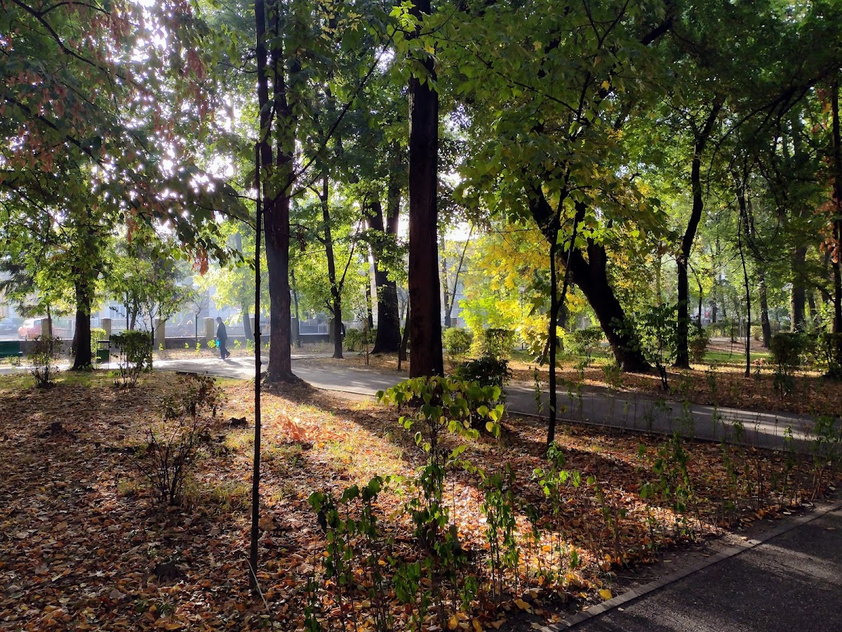 Parc Central "Constantin Brâncuși" - foto 2