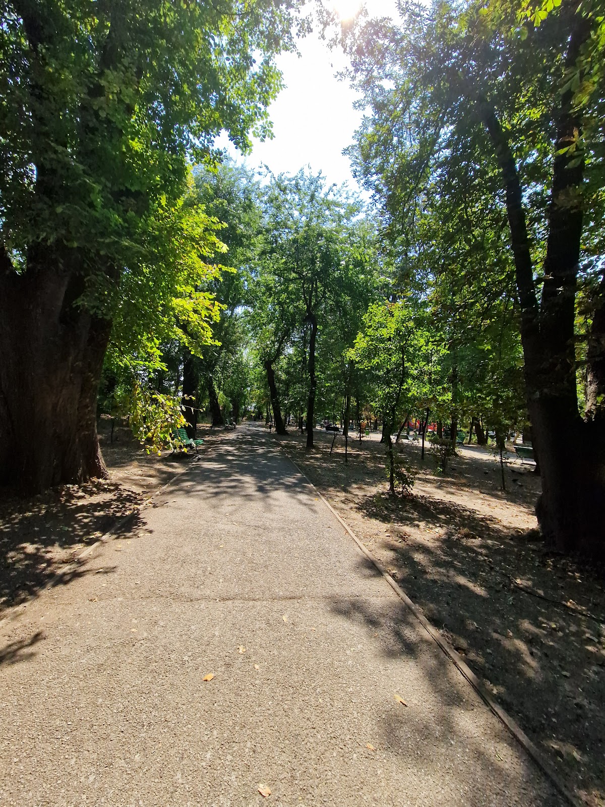 Parc Central "Constantin Brâncuși" - foto 3