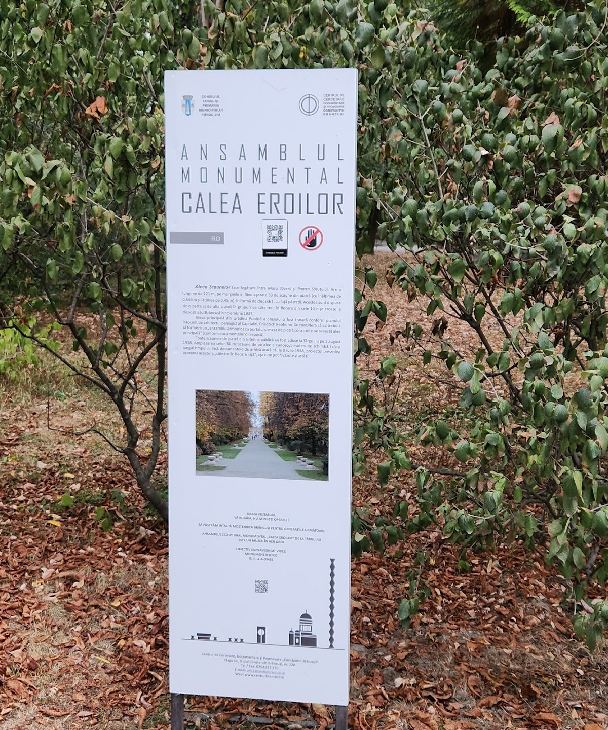 Parc Central "Constantin Brâncuși" - foto 5