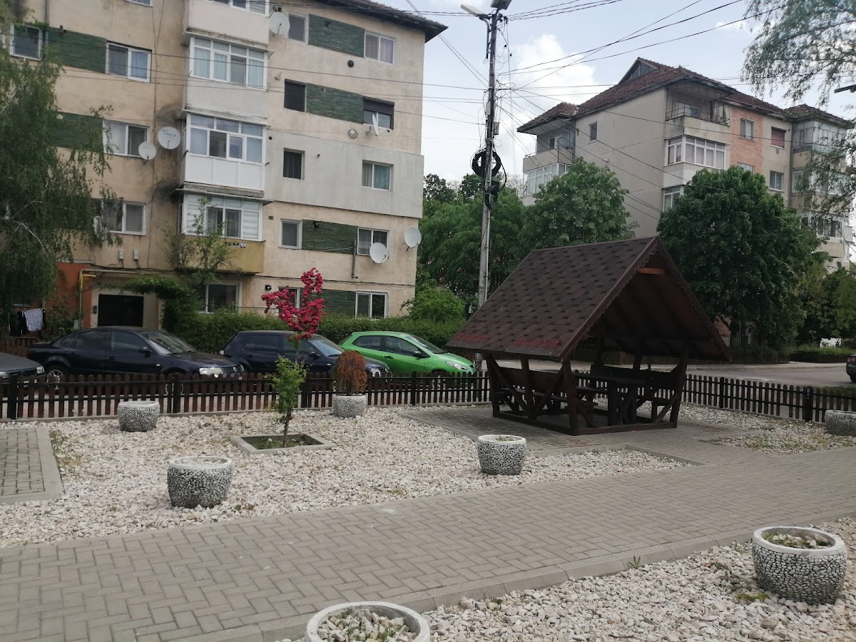 Parcul Central din Comuna Berca - foto 2