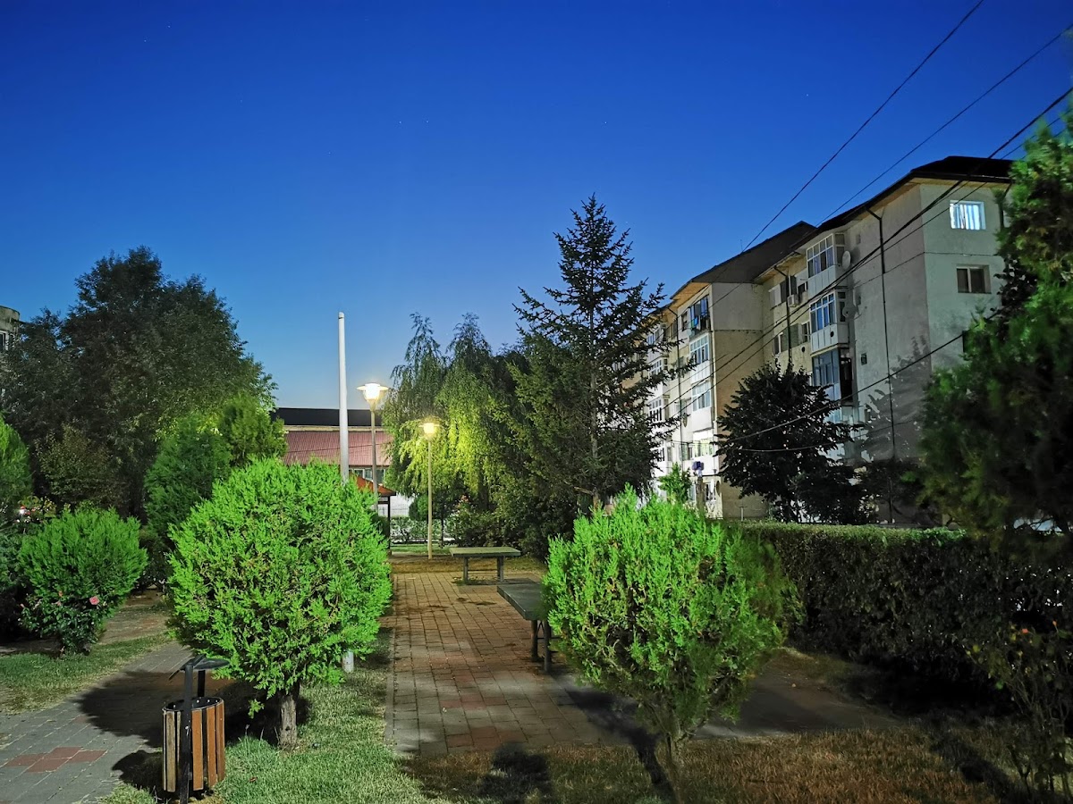 Parcul Central din Comuna Berca - foto 4