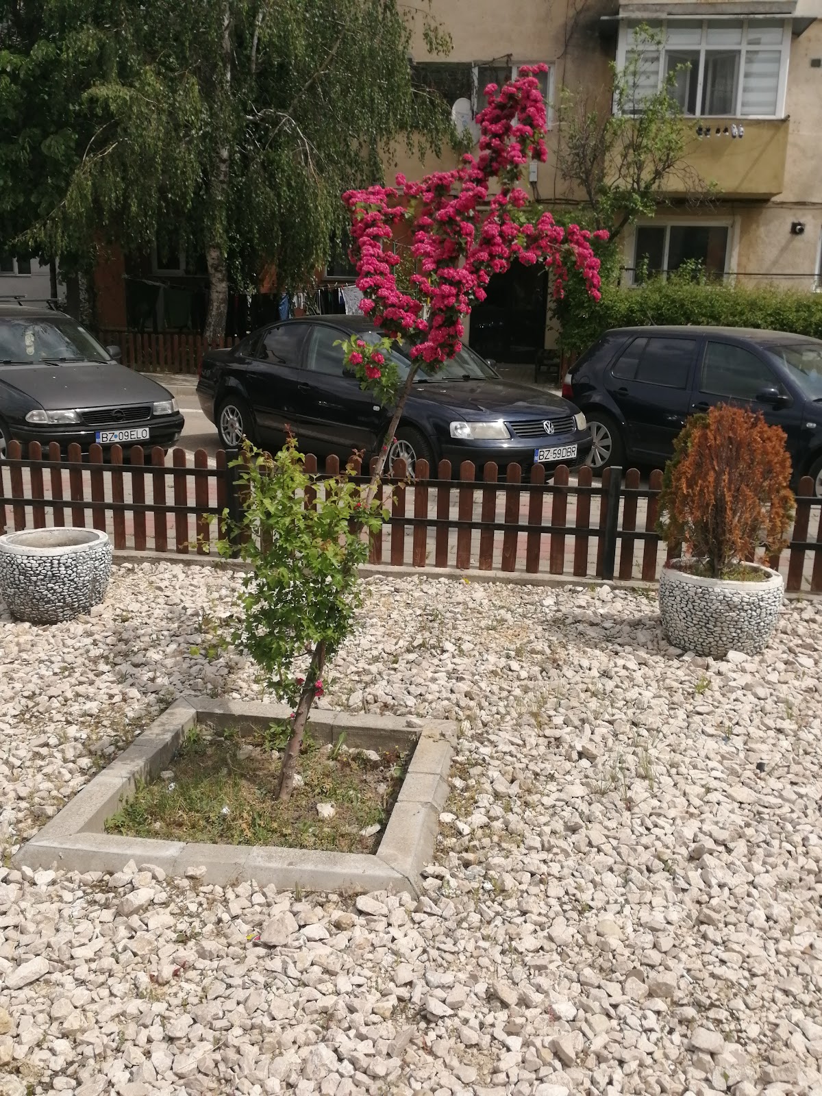 Parcul Central din Comuna Berca - foto 5