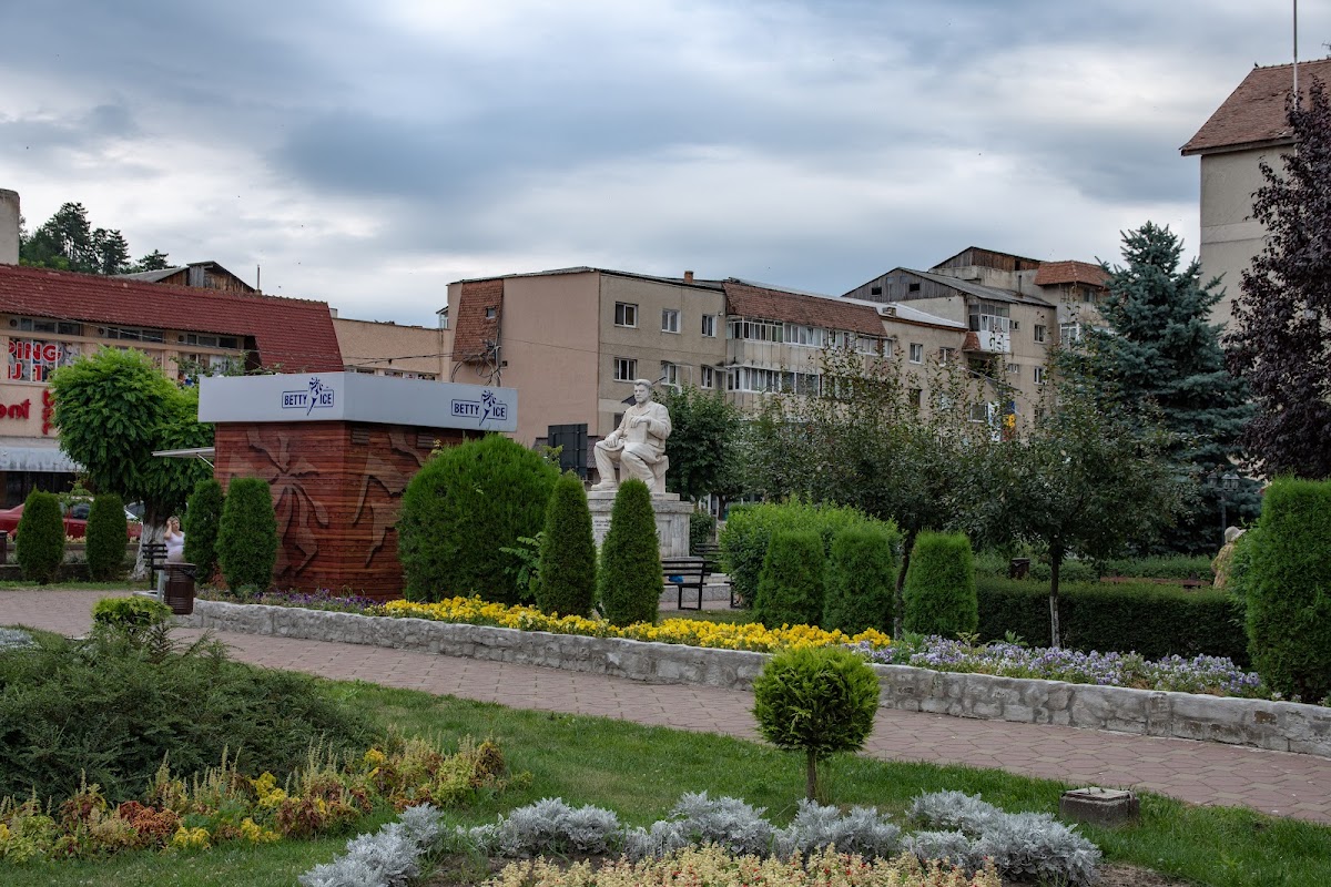 Zentralpark in Târgu Neamț - foto 2
