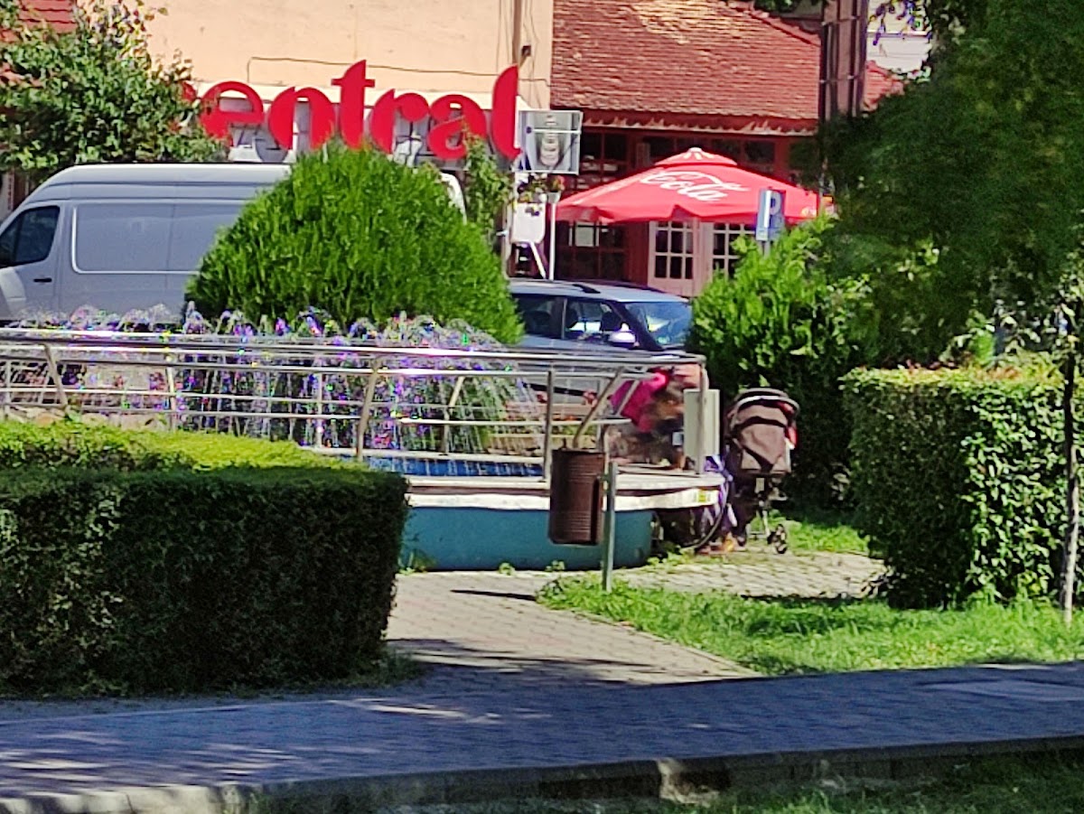Zentralpark in Târgu Neamț - foto 4