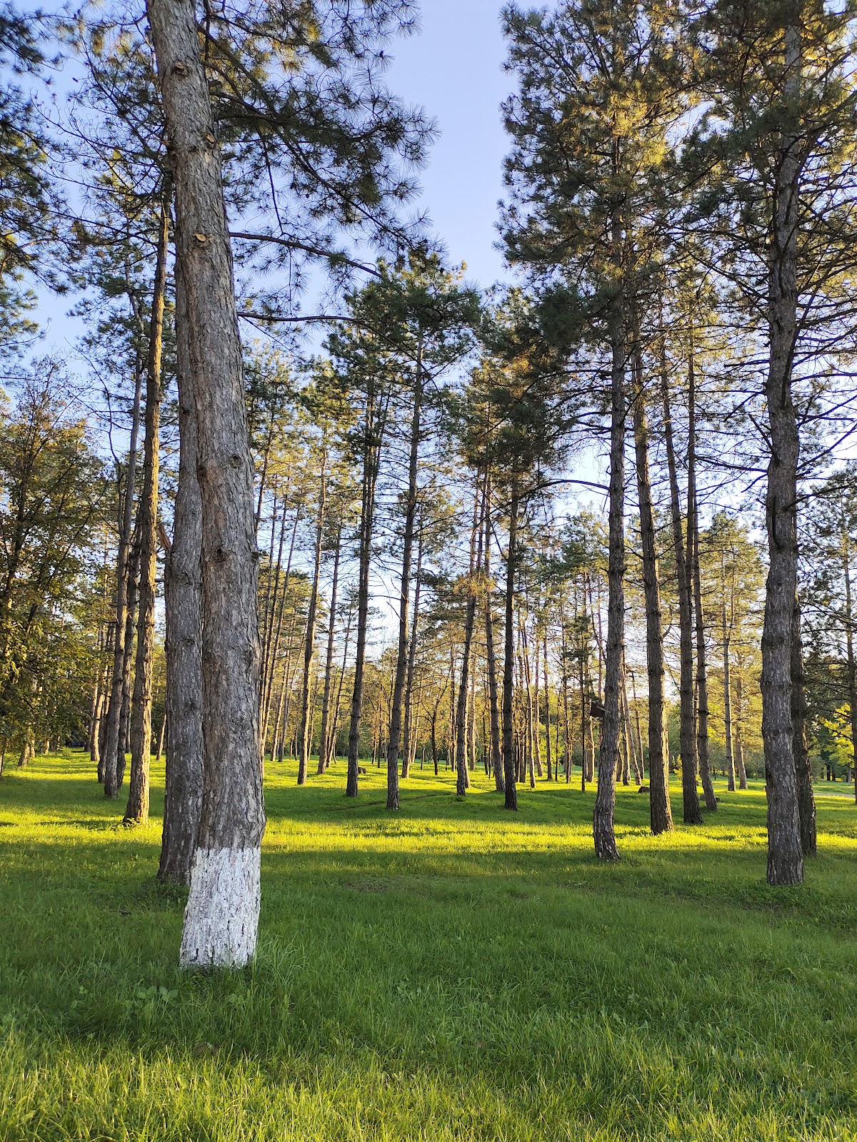 Parcul Central "Micul Cluj" - foto 3