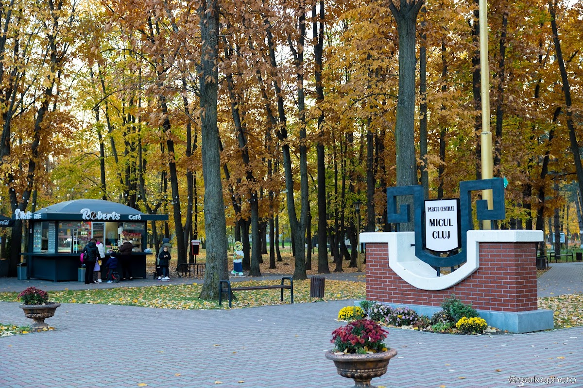 Parcul Central "Micul Cluj" - foto 4