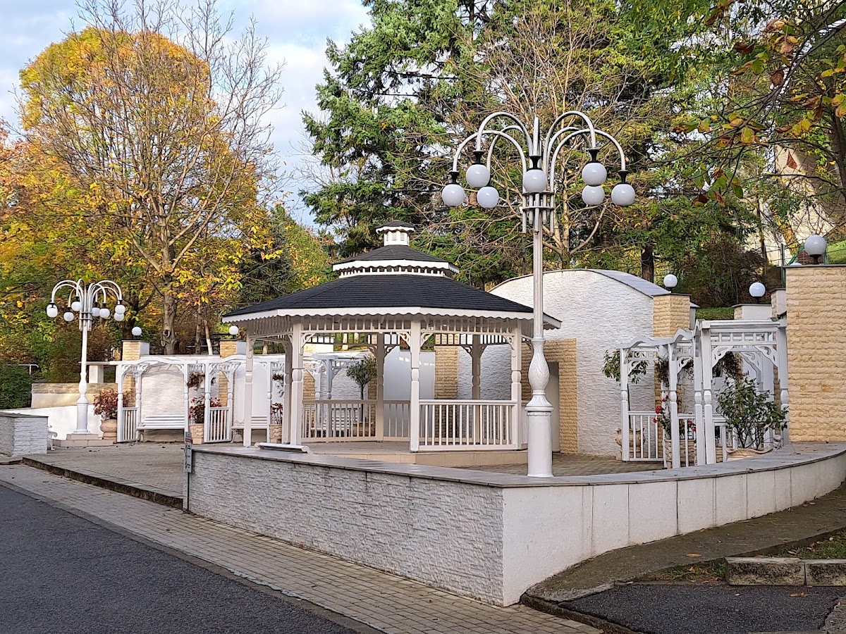 Parcul Central Municipal - foto 2