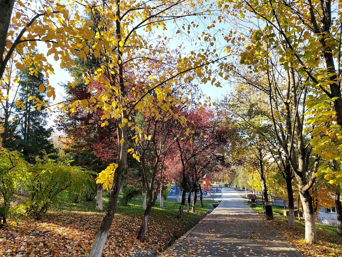 Parcul Central Municipal - foto 3