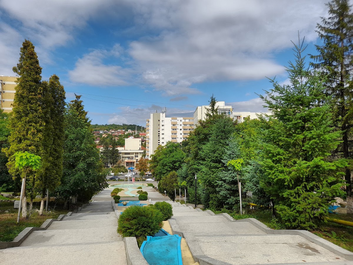 Parcul Central Municipal - foto 5