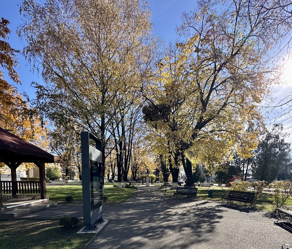 Parcul central Odoreu