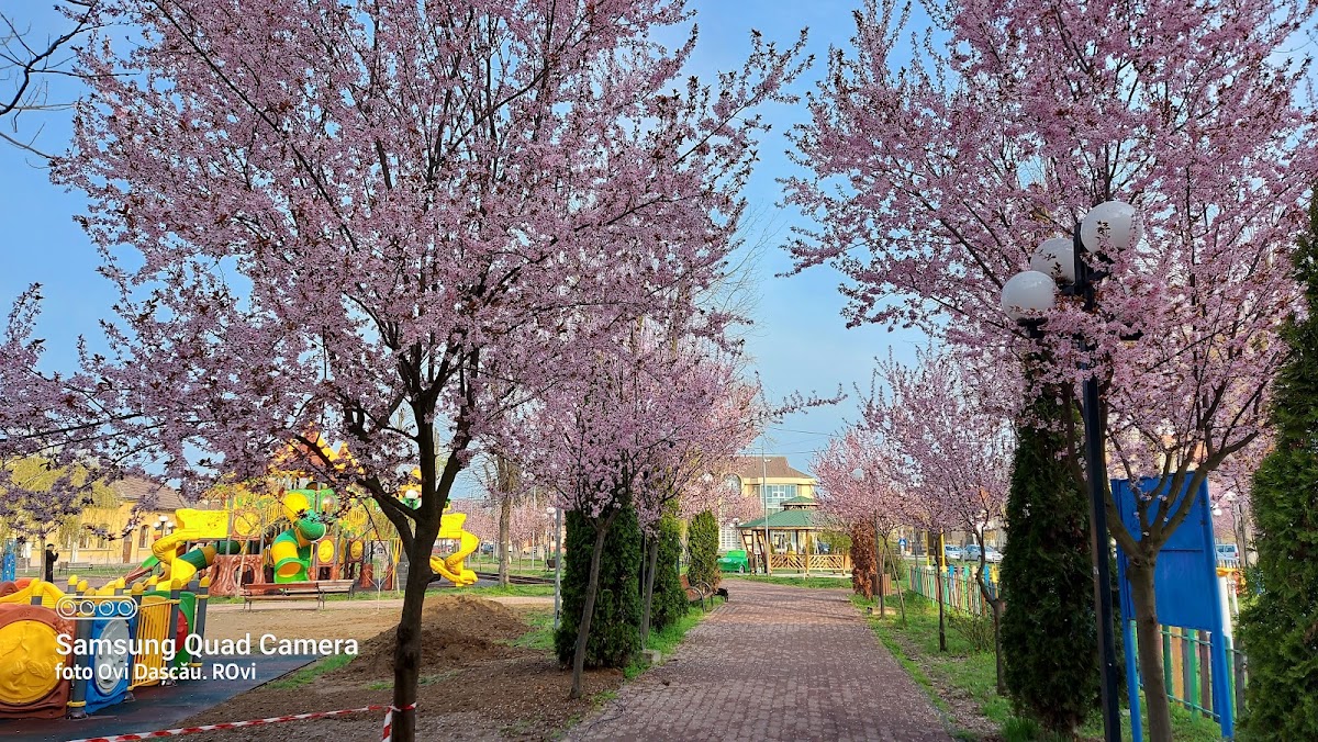 Parcul central Sebiș - foto 3