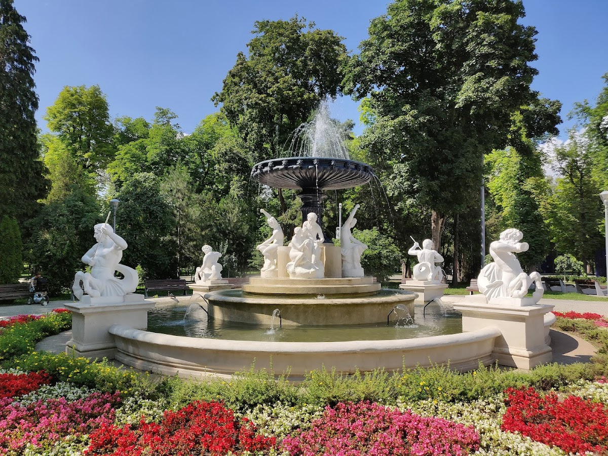 Zentralpark Simion Bărnuțiu - foto 2