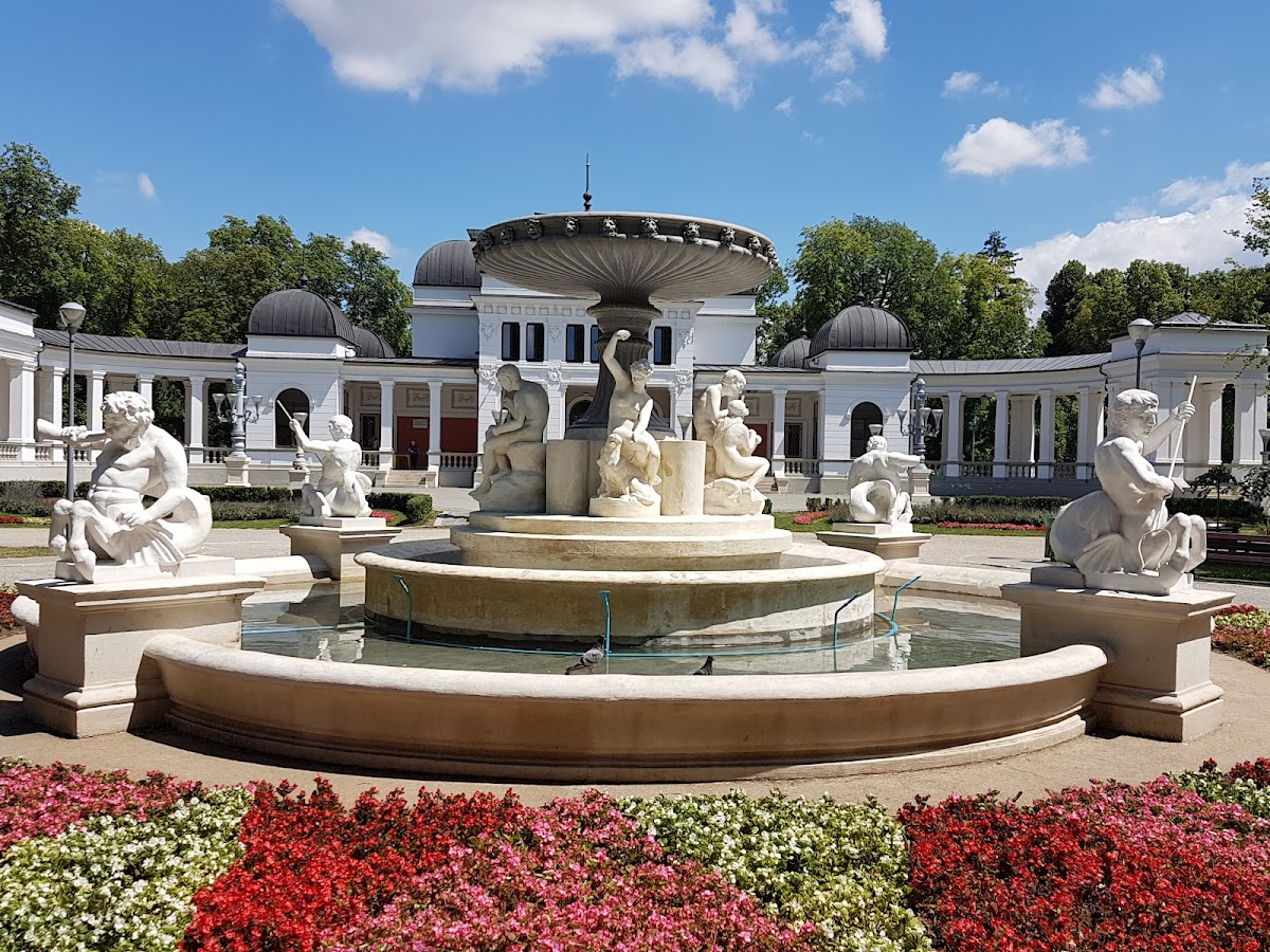 Zentralpark Simion Bărnuțiu - foto 3