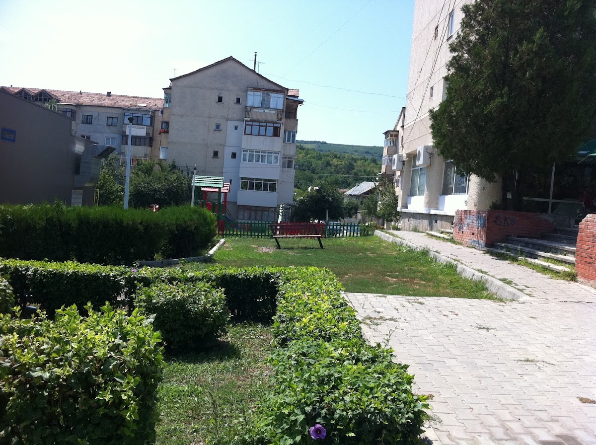 Parcul Cercetașilor - foto 3