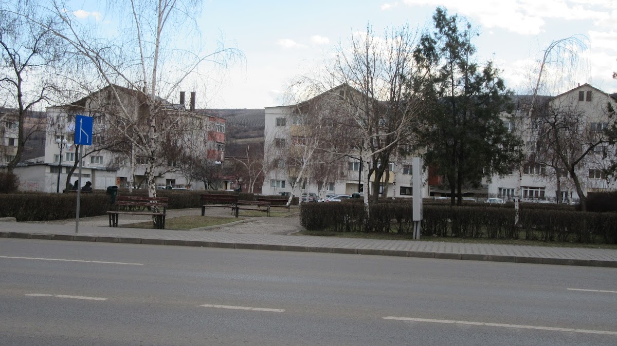 Parcul Cercetașilor - foto 5