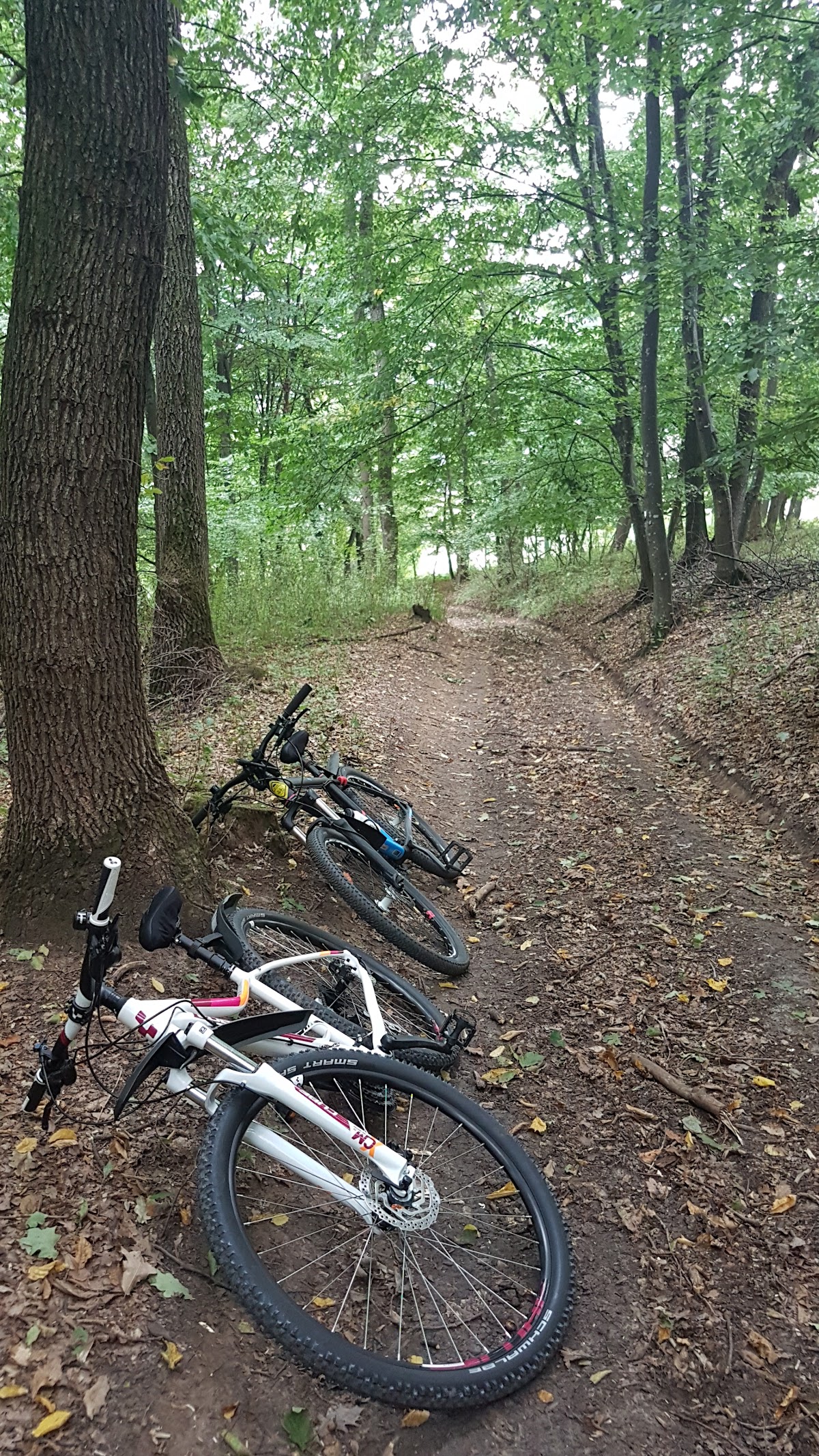 Parcul Cetatea Fetei - foto 4