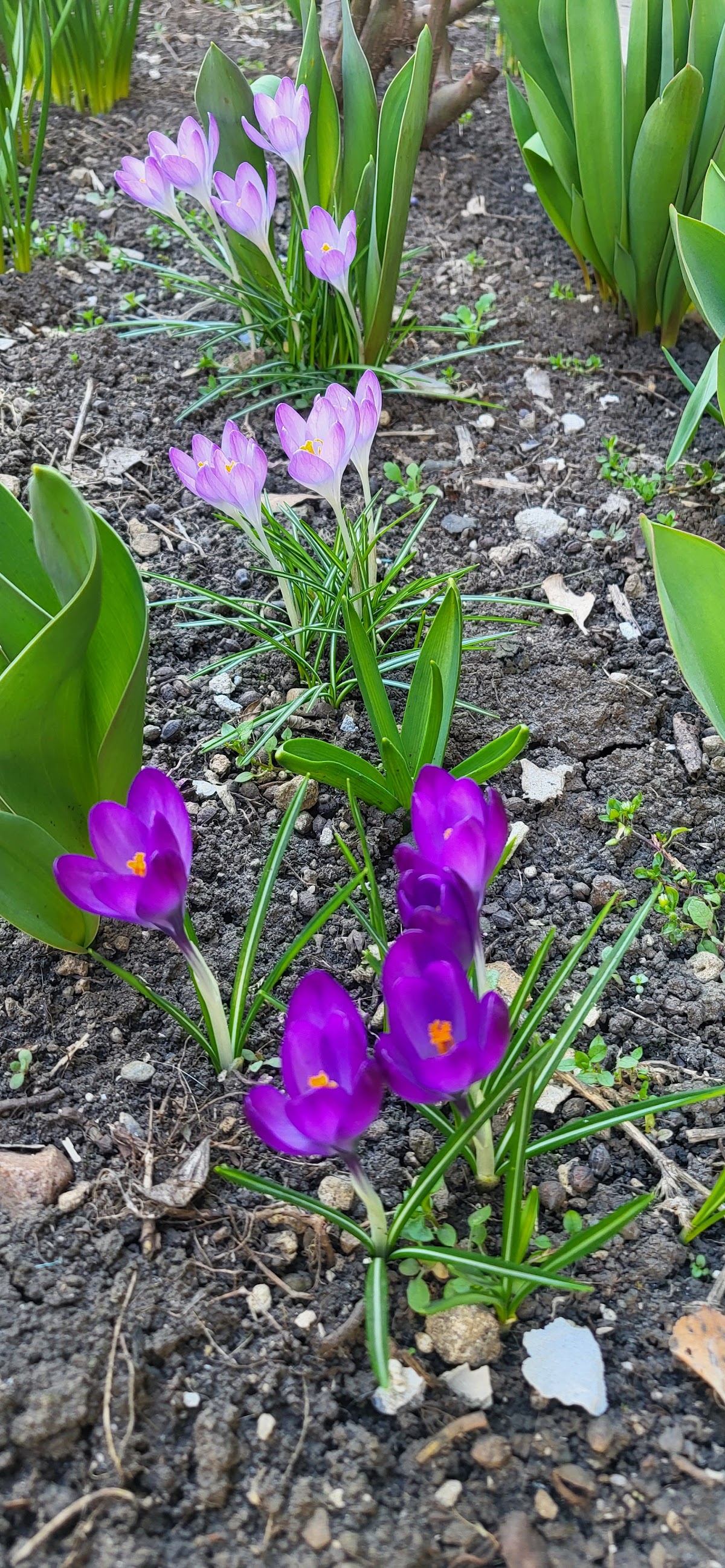 Parcul Cetatea Fetei - foto 5