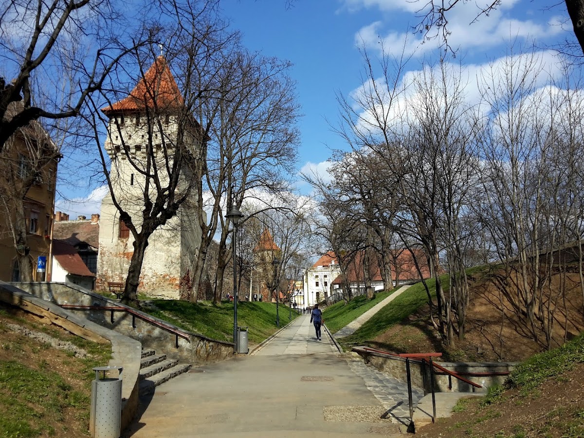 Parcul Cetății - foto 1