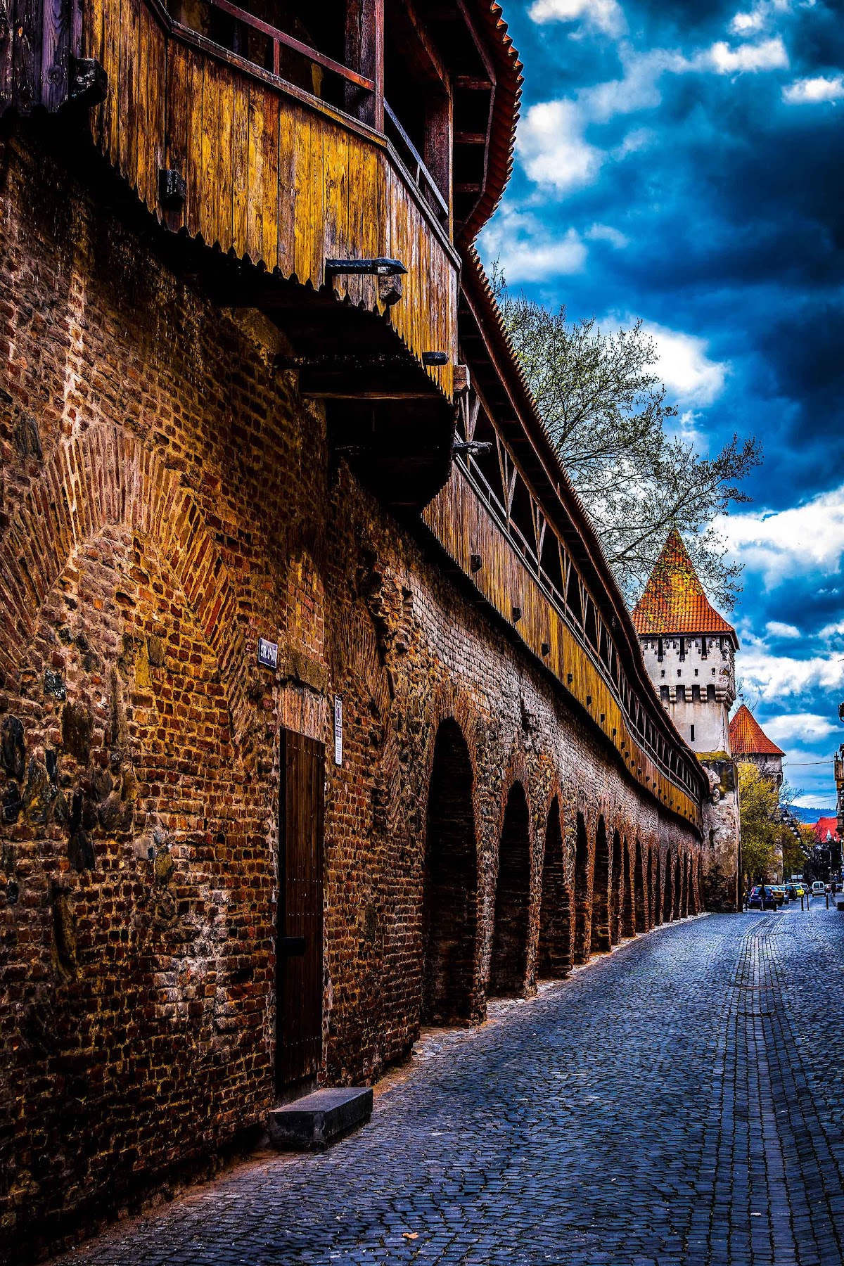 Parcul Cetății - foto 4