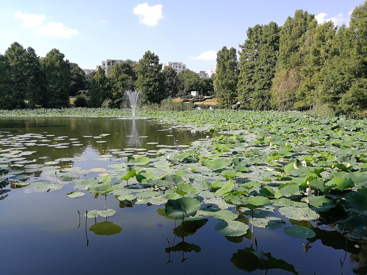 Parcul Circului - foto 2