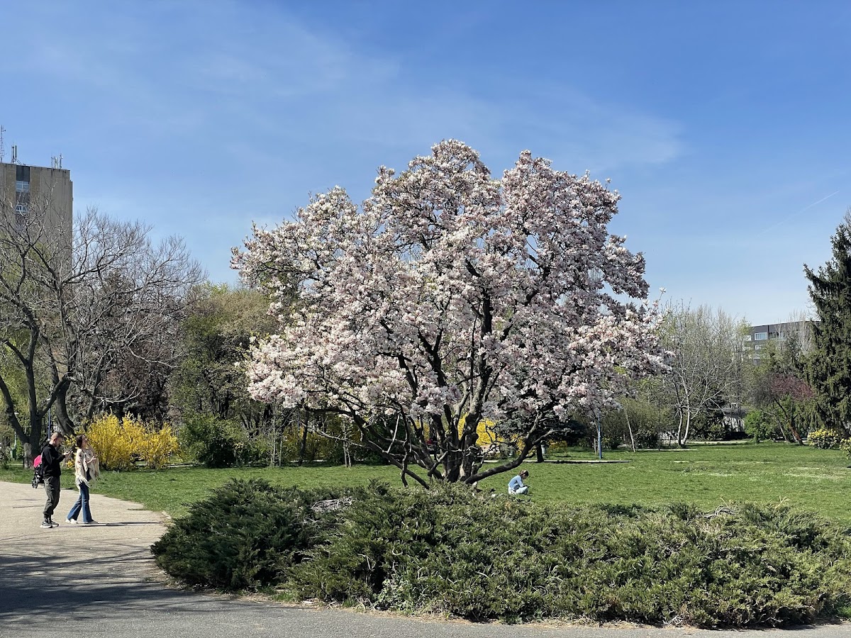 Parcul Circului - foto 3