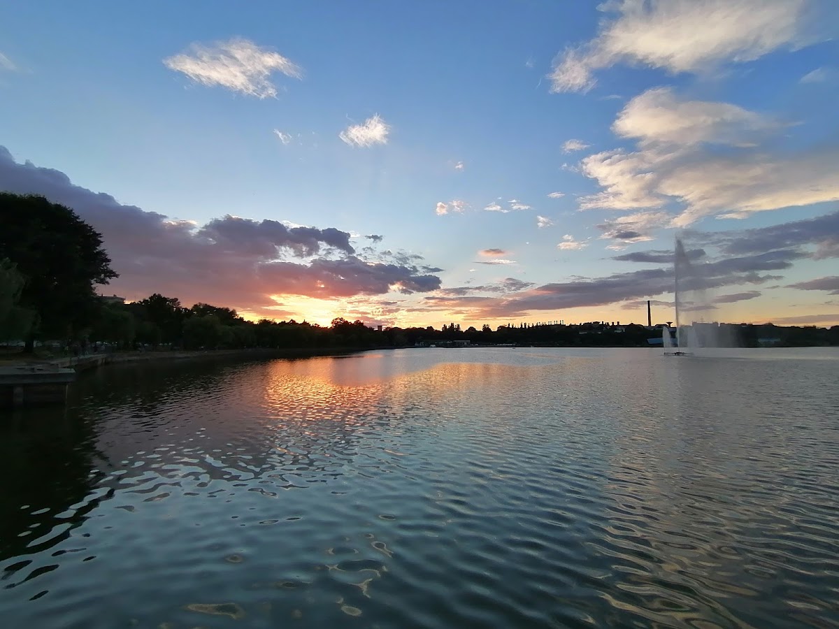 Parcul Ciuperca - foto 4