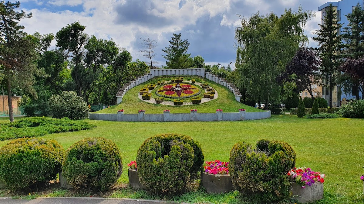 Parco Civico - foto 2