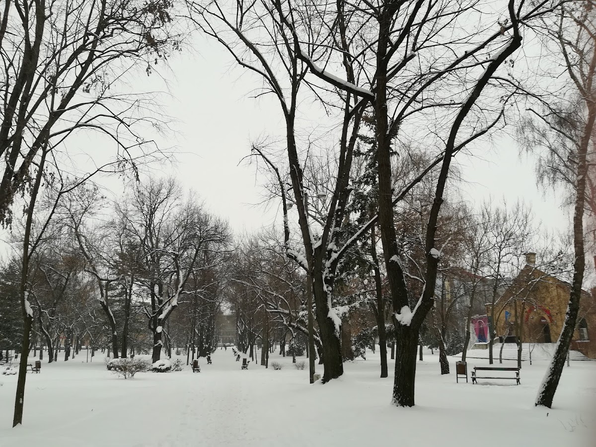 Parco Civico - foto 4