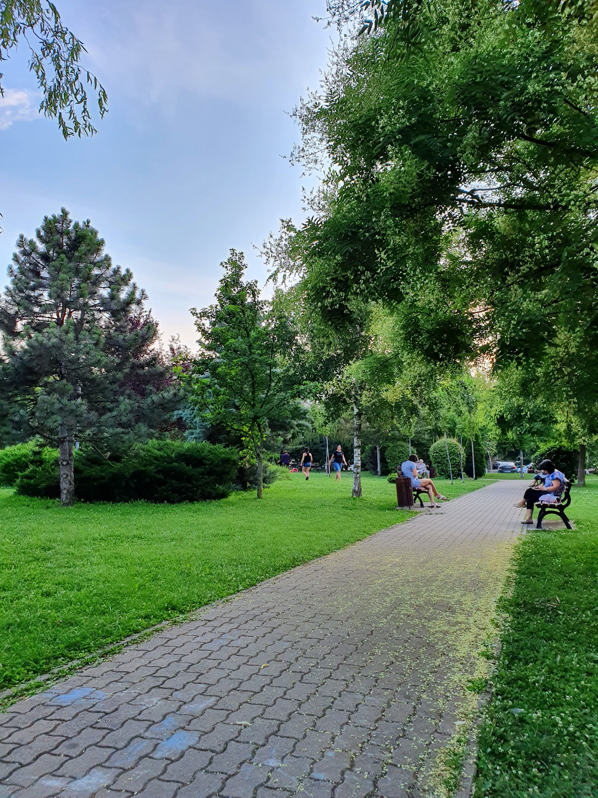 Clăbucet Park - foto 5