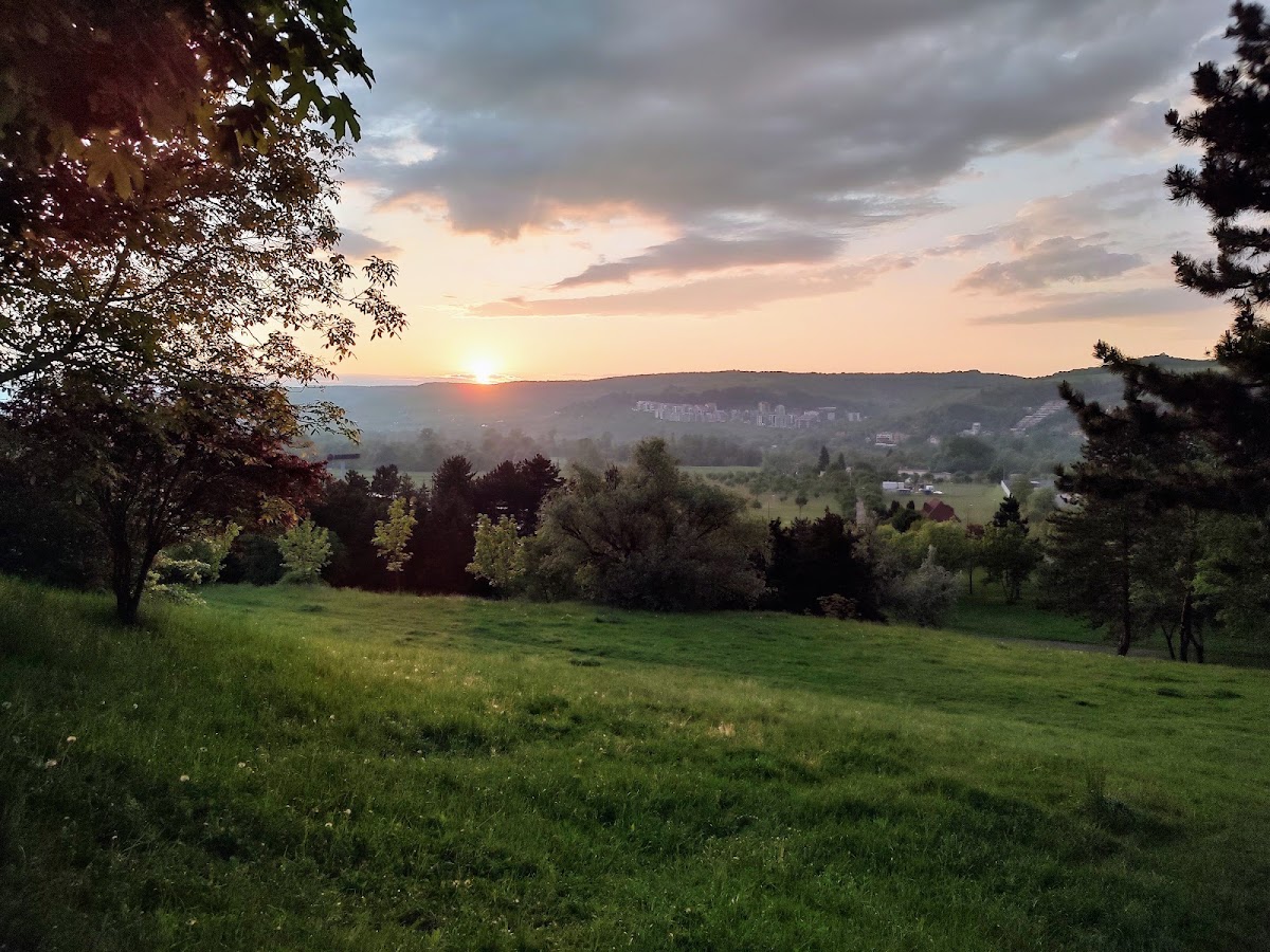 科利纳公园 - foto 2