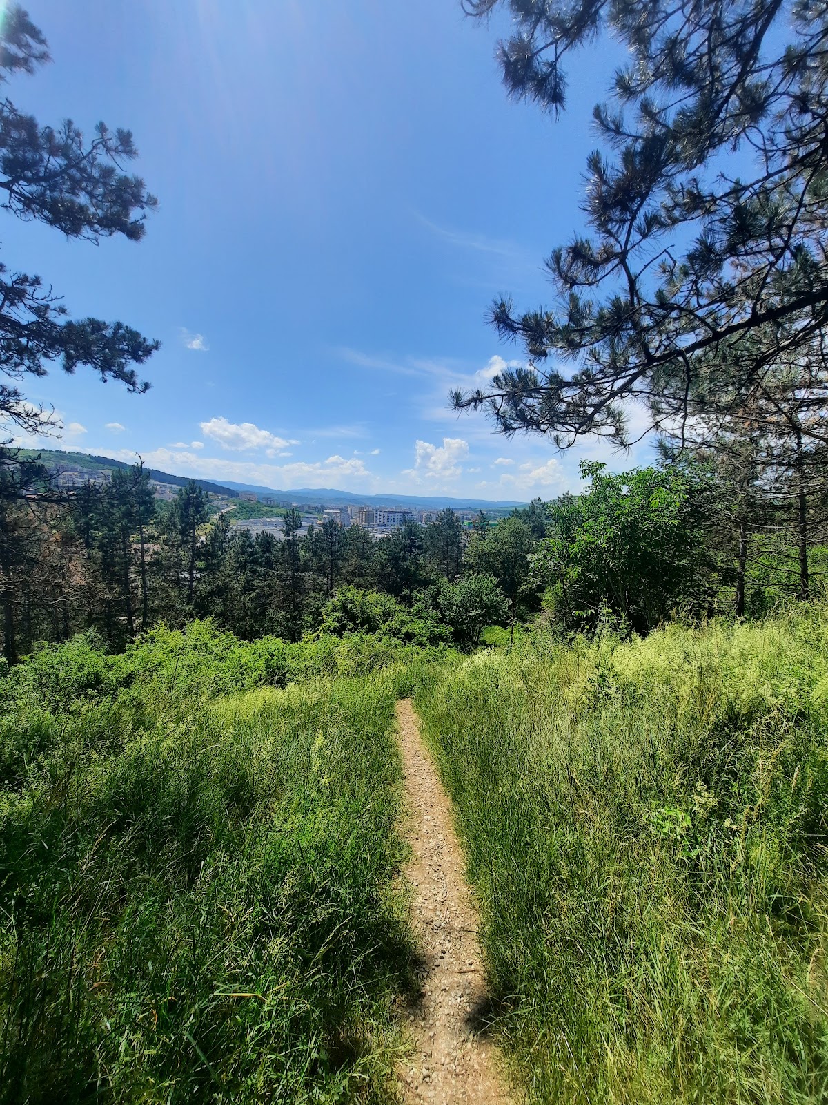 科利纳公园 - foto 3