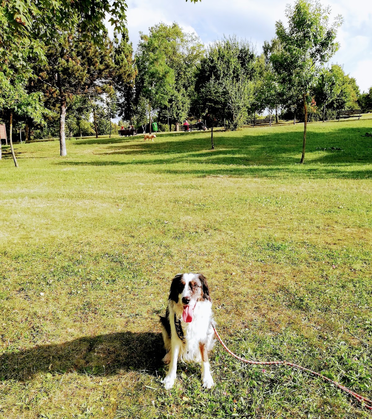 科利纳公园 - foto 5