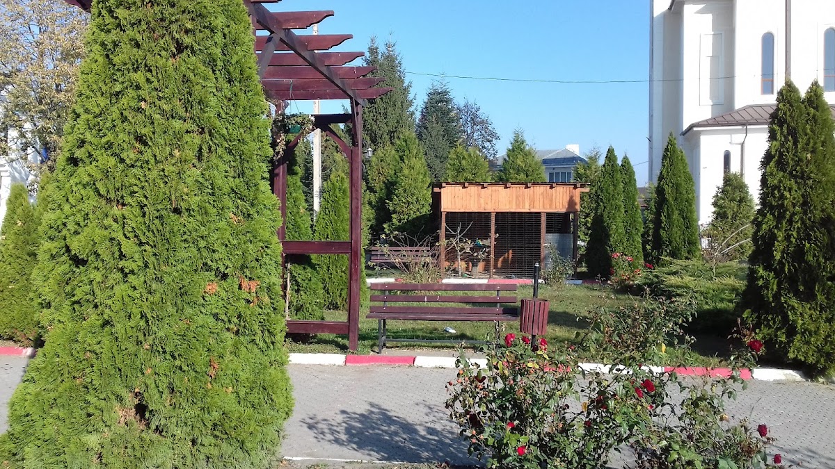 Parcul Comunei Tamaseni - foto 4