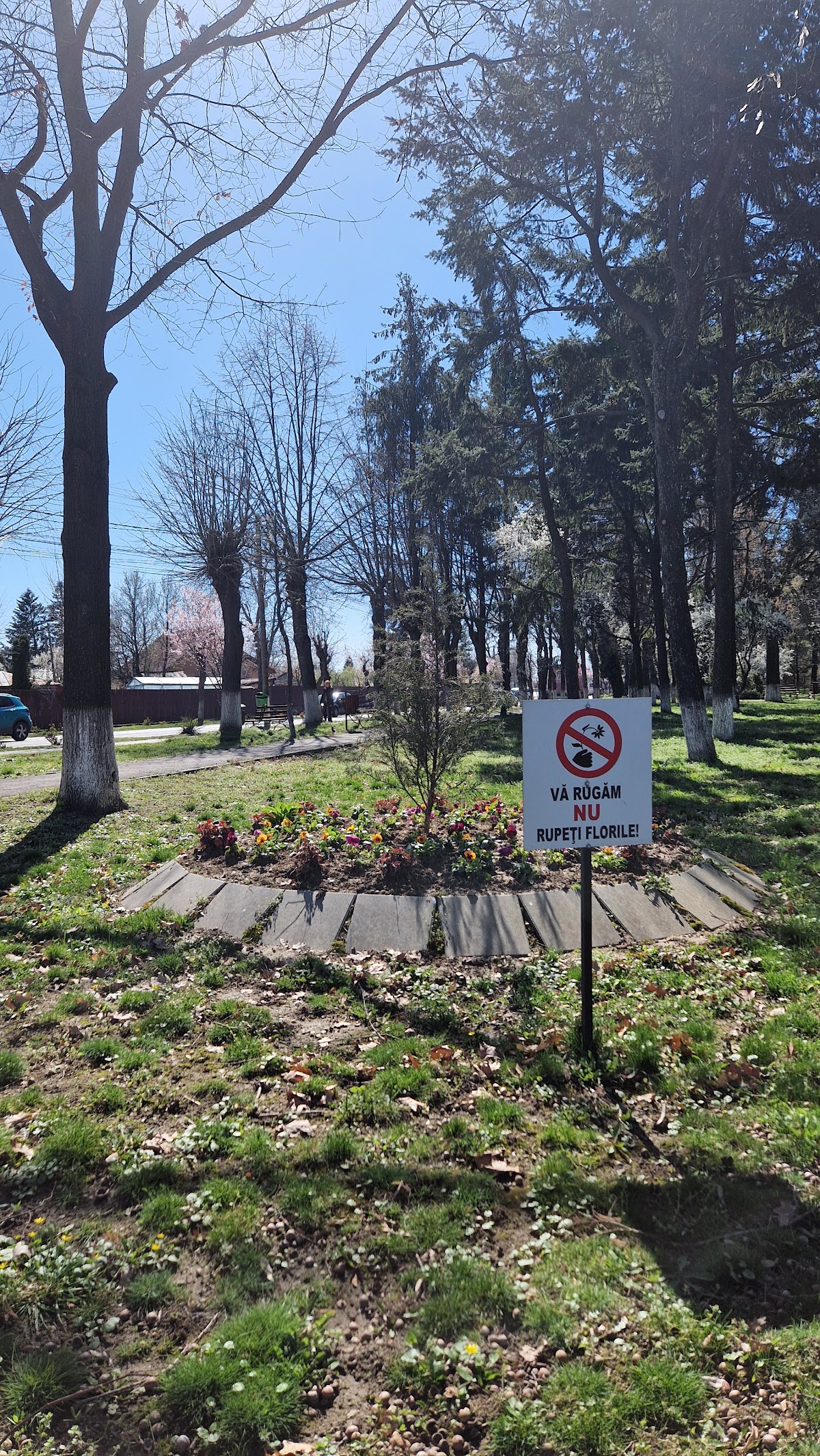 Parcul Copiilor Găești - foto 4