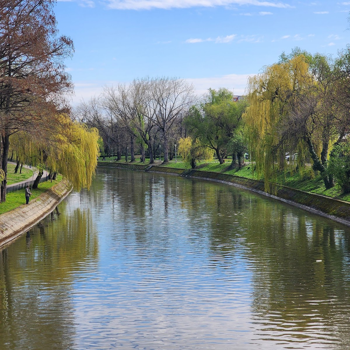 Parcul Copiilor Ion Creangă - foto 3