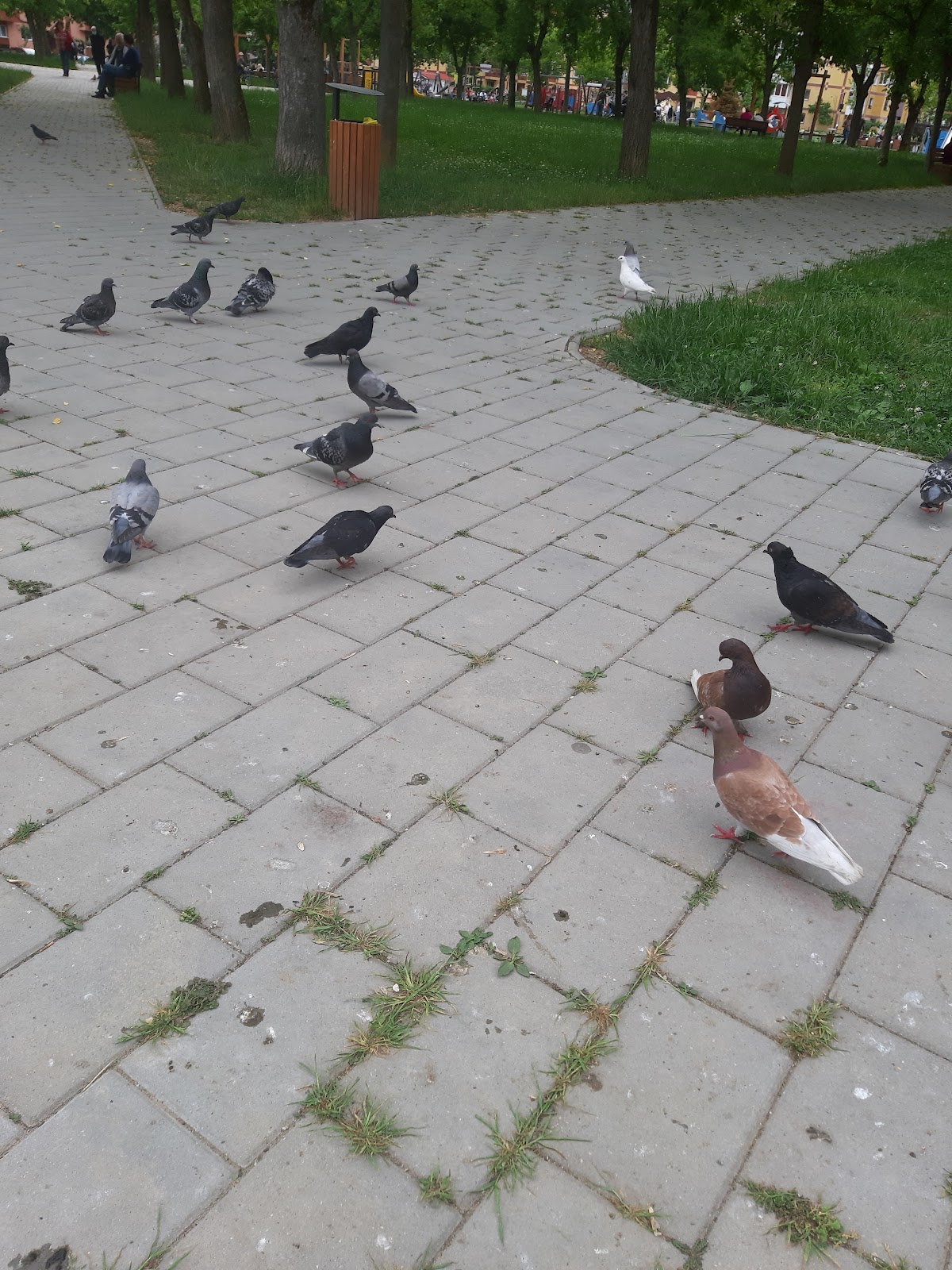 Gyermekpark - foto 5