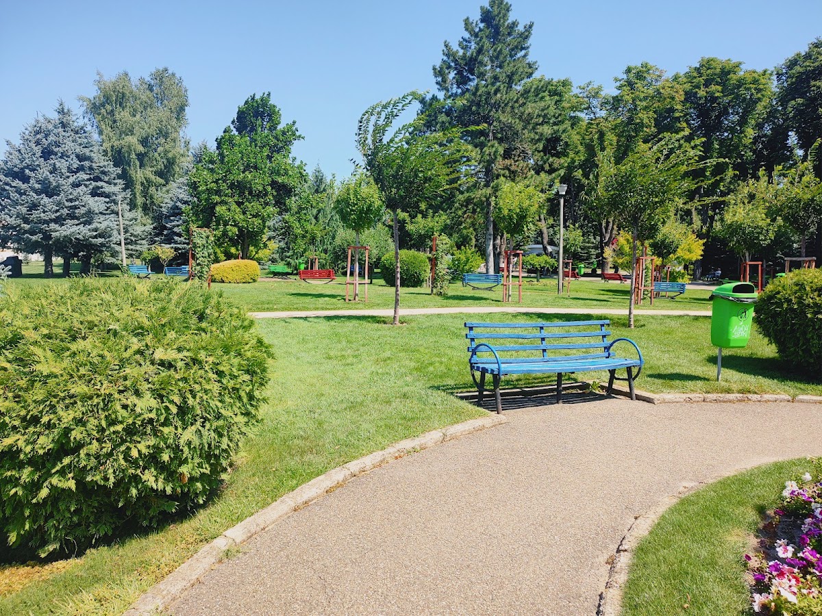 Parcul Copou din Vaslui - foto 2