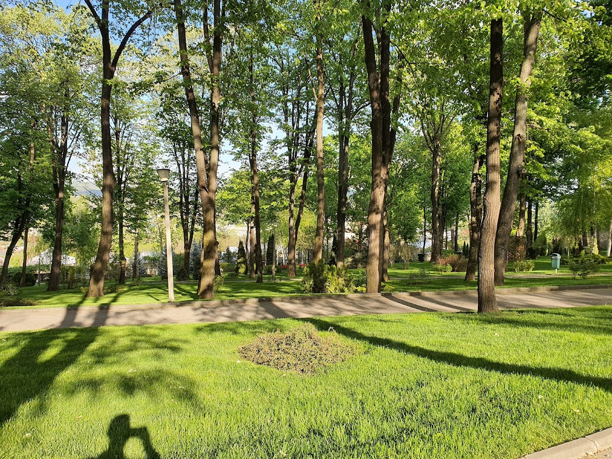 Parcul Copou din Vaslui - foto 3