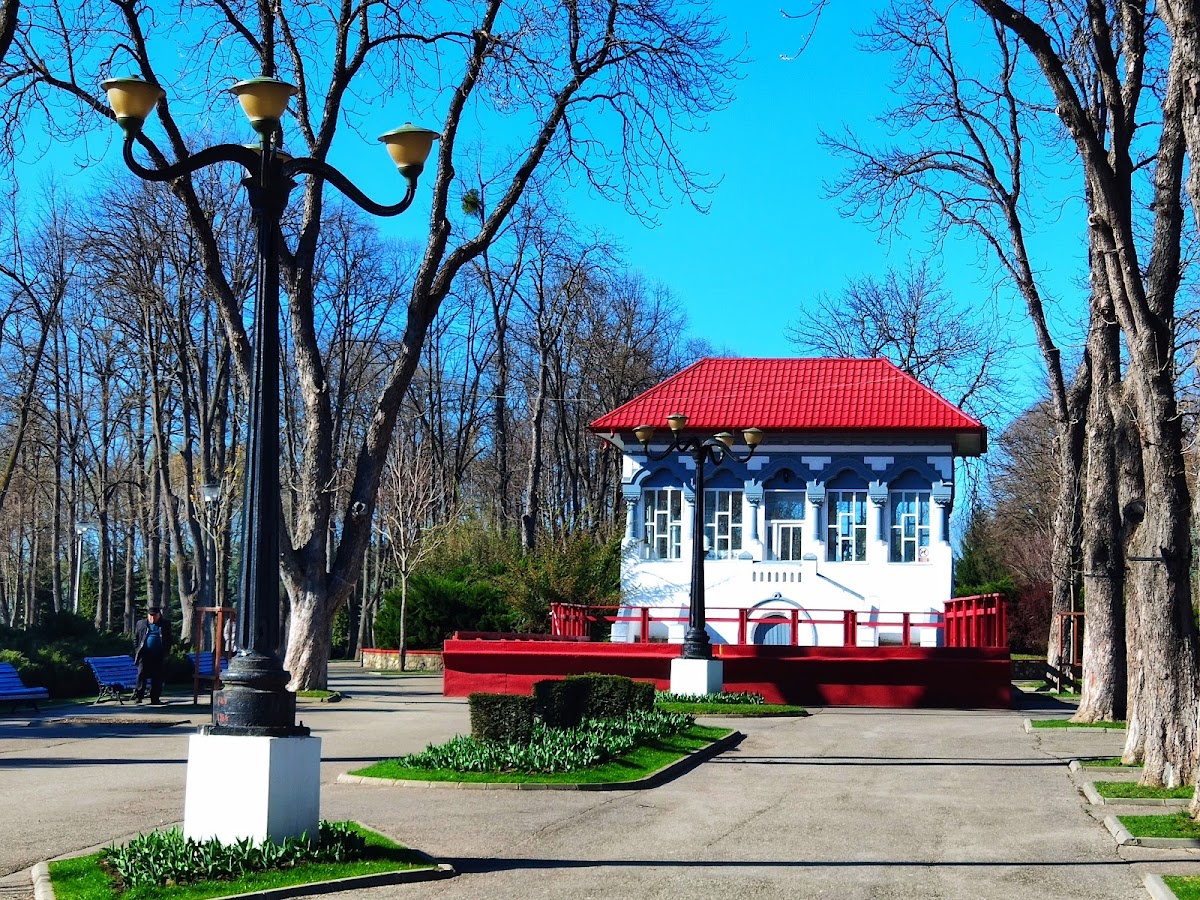 Parcul Copou din Vaslui - foto 4
