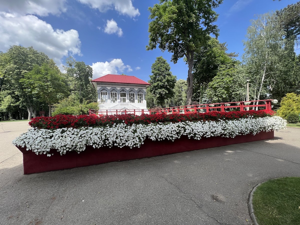 Parcul Copou din Vaslui - foto 5