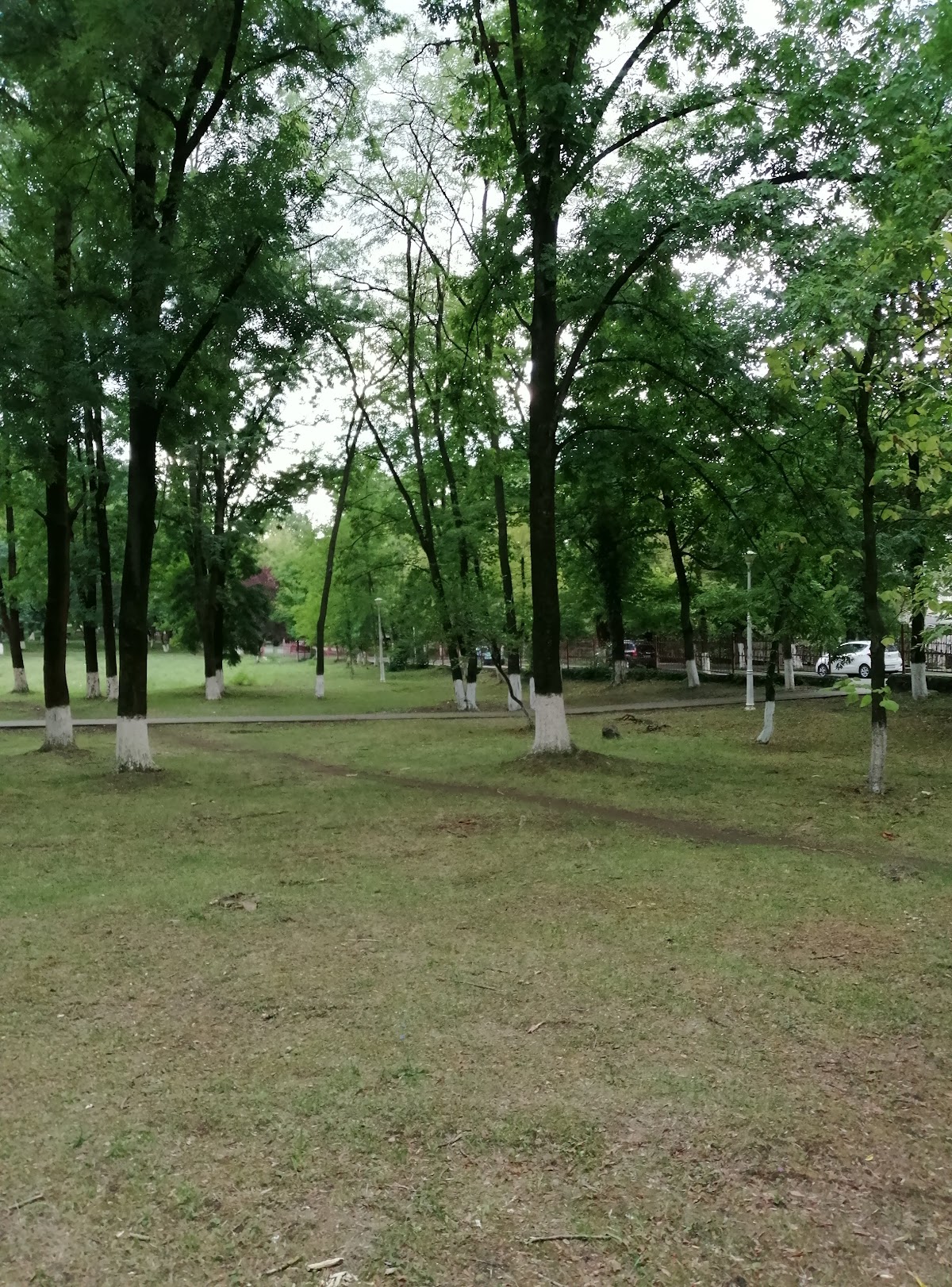 Parcul Corvin - foto 4
