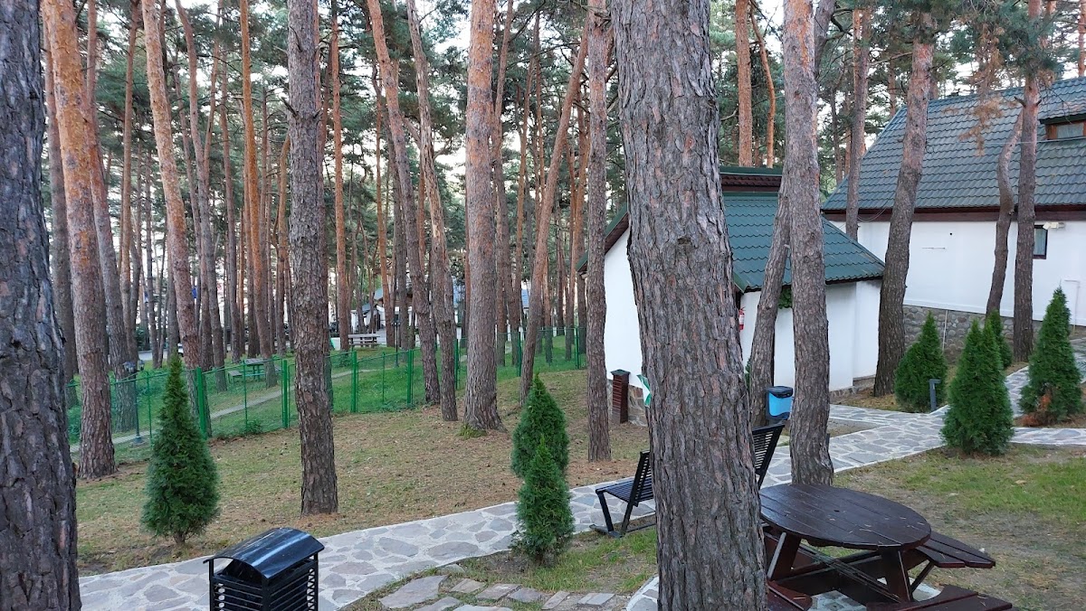 Parcul cu Pini - Mardare -