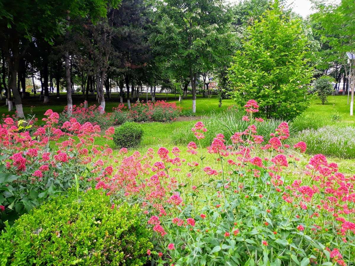 Parcul Curcubeului - foto 2