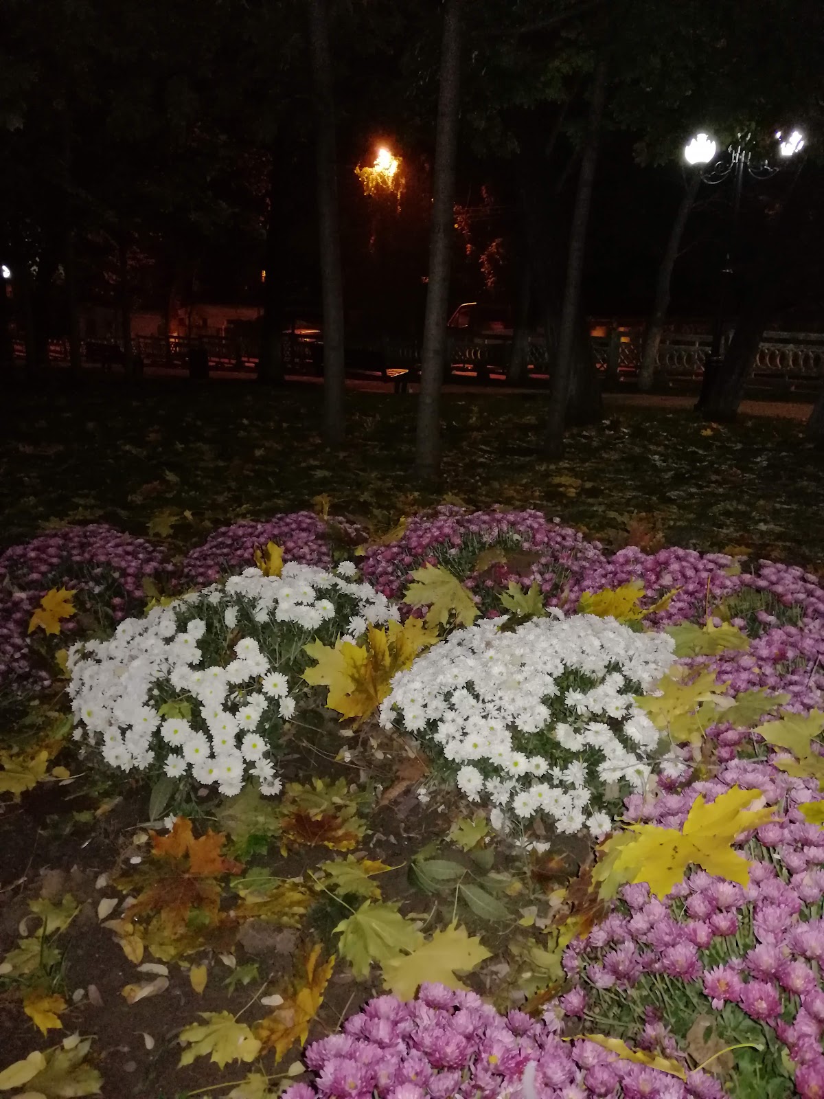 Parco Cuza Vodă - foto 5