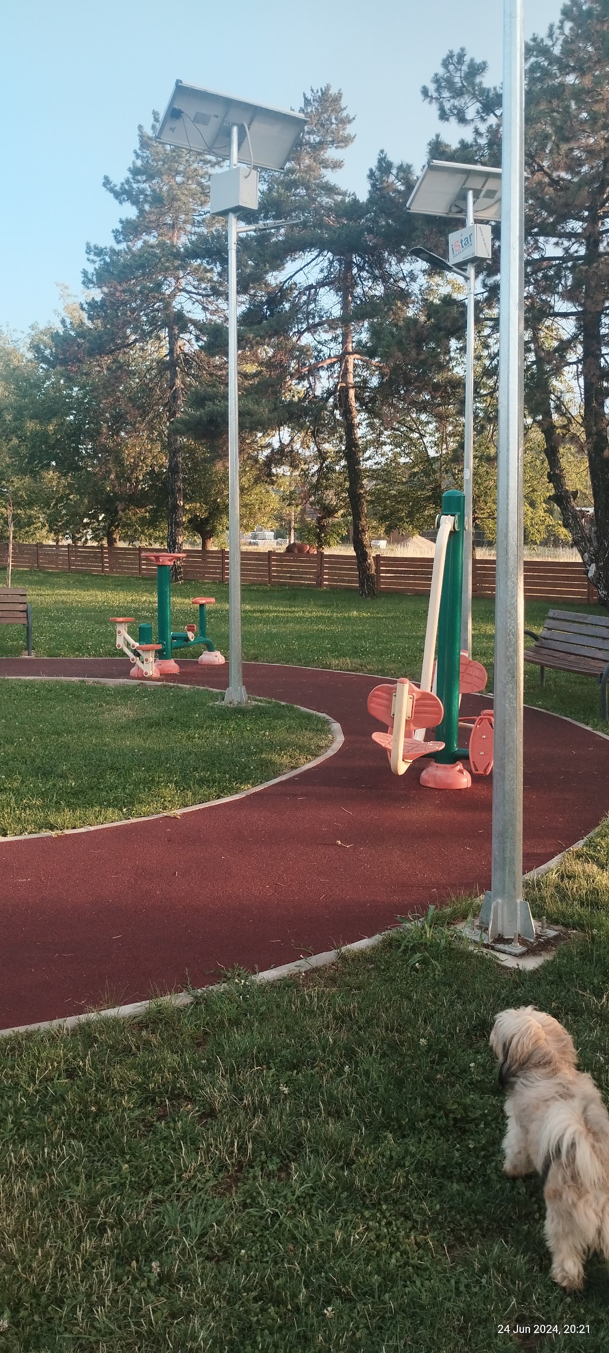 Parcul de la gară - foto 4