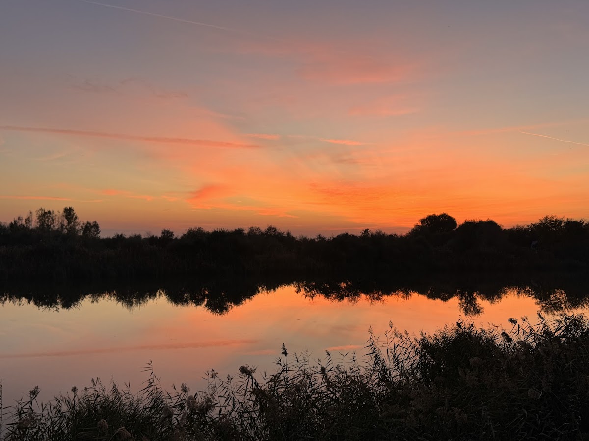 Parque del Lago - foto 5