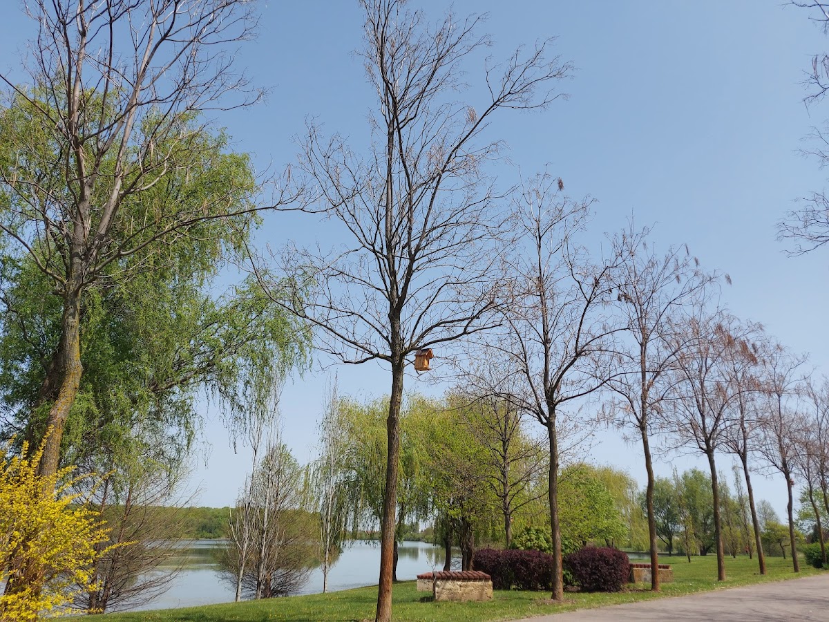 Parc Dendrologique - foto 1