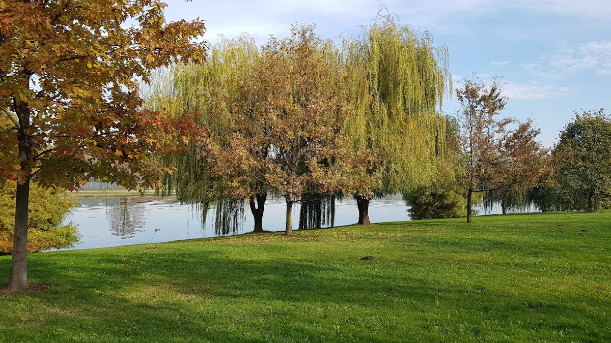 Parc Dendrologique - foto 2